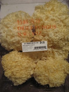 tremellaFuciformis2