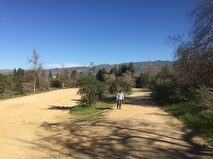 GriffithSpot1