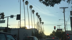 LA