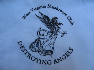 westVirginiaLogo2