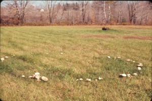 fairy_ring