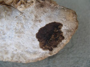 DaedQuer2